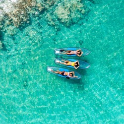 Balade Kayak 2h : découvrez une biodiversité marine incroyable • Kayak du Souffleur : tranparent