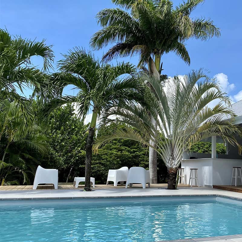 Séjour en duo avec Petit déjeuner à partir de 1 nuit • Canella Beach Hôtel : 2 pers 3J2N