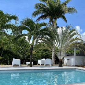 Séjour pour 3 ou 4 personnes avec Petit déjeuner à partir de 1 nuit • Canella Beach Hôtel : 4 pers 3J2N