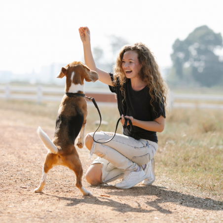 Formation Dressage et garde d'animaux de compagnie • Holly and Hugo