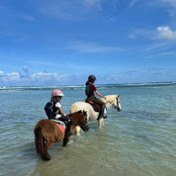 Évasion Équestre pour Maman - Une balade inoubliable - KARUKERA HORSES