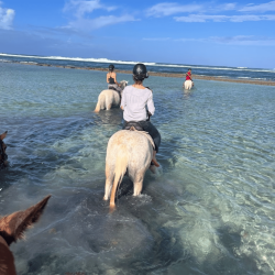 Évasion Équestre pour Maman - Une balade inoubliable - KARUKERA HORSES