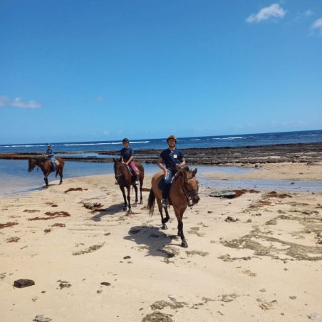 Évasion Équestre pour Maman - Une balade inoubliable - KARUKERA HORSES
