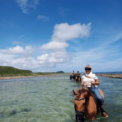 Évasion Équestre pour Maman - Une balade inoubliable - KARUKERA HORSES