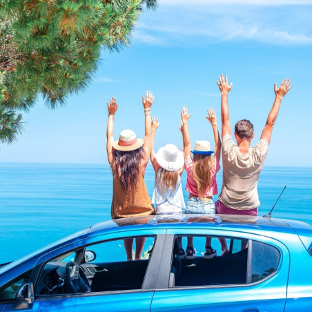 Diagnostic Automobile • Analyse et expertise, Service Premium • API CAR GUADELOUPE