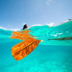 A la mer - Balade Kayak, 2h • Le Kayak du Souffleur • double