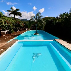 PASS POOL AND BREAKFAST - TROPICANA SUITES****