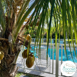 Offre Spéciale - Un hébergement moderne - Chambre Confort - au Cocotel