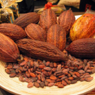 ACTIVITE SAINTE-LUCIE - Gourmet Chocolates Experience