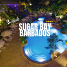 Vivez le luxe tropical à la Barbade - Séjour 5 jours/4 nuits - VOL + HOTEL SUGAR BAY BARBADOS*** ALL INCLUSIVE