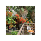 Séjour Nature & Bois - Vacances de la Toussaint - 2 nuits achetées plus 1 nuit offerte • GITES DU MANIAL