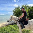 Balade à cheval • Découvrez la Guadeloupe autrement avec KARUKERA HORSES