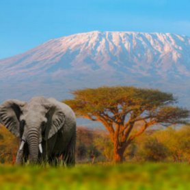 Tanzanie, terre d'aventure et d'émotions - Circuit - 6 jours / 5 nuits Tanzanie, terre d'aventure et d'émotions - Circuit - 6 jours / 5 nuits