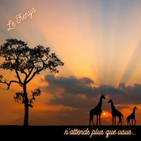 Kénya, entre faune sauvage et océan - Circuit - 9 jours / 6 nuits Kénya, entre faune sauvage et océan - Circuit - 9 jours / 6 nuits