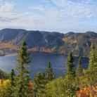 Fjord du Saguenay: au cœur de l'hiver - Circuit - 8 jours / 7 nuits
