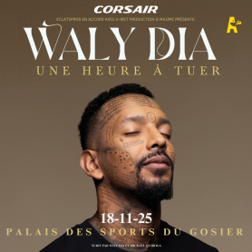 WALY DIA ⦁ Spectacle ⦁ Mardi 18 Novembre 2025 à 20:00 ⦁ Palais des sports du gosier