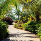 WEEK-END LUXUEUX au InterContinental Dominica Cabrits Resort & Spa- 4jours/ 3nuits