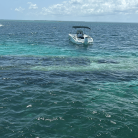 Excursion bateau - Grand Cul-de-Sac Marin - Mangrove, îlet Caret, îlet La Biche - Repas et boisson inclus – ONE LOVE EXCURSION