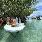 Excursion bateau - Grand Cul-de-Sac Marin - Mangrove, îlet Caret, îlet La Biche - Repas et boisson inclus – ONE LOVE EXCURSION