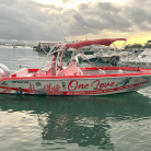 Excursion bateau - Grand Cul-de-Sac Marin - Mangrove, îlet Caret, îlet La Biche - Repas et boisson inclus – ONE LOVE EXCURSION