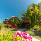 Destination SAINT-MARTIN -Séjour 4 jours/3 nuits SAINT-MARTIN à l'hôtel PALM COURT****