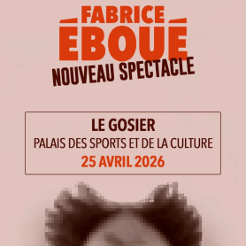 FABRICE ÉBOUÉ ⦁ Spectacle ⦁ Samedi 25 Avril 2026 à 20:00 ⦁ Palais des sports du gosier