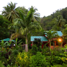 Séjour au coeur de la nature : Citrus Creek Plantation *** + bateau - 3J/2N