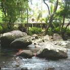 Séjour au coeur de la nature : Citrus Creek Plantation *** + bateau - 3J/2N