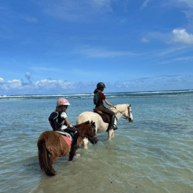 Balade à cheval • Découvrez la Guadeloupe autrement avec KARUKERA HORSES