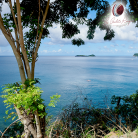 Hôtel LES GALETS ROUGES**** • Séjour VIP et Promo d'exception - Vacance en Guadeloupe