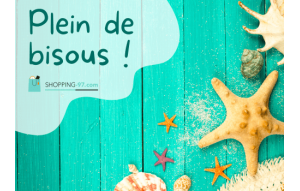 
			                        			Bisous