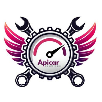 API CAR GUADELOUPE logo